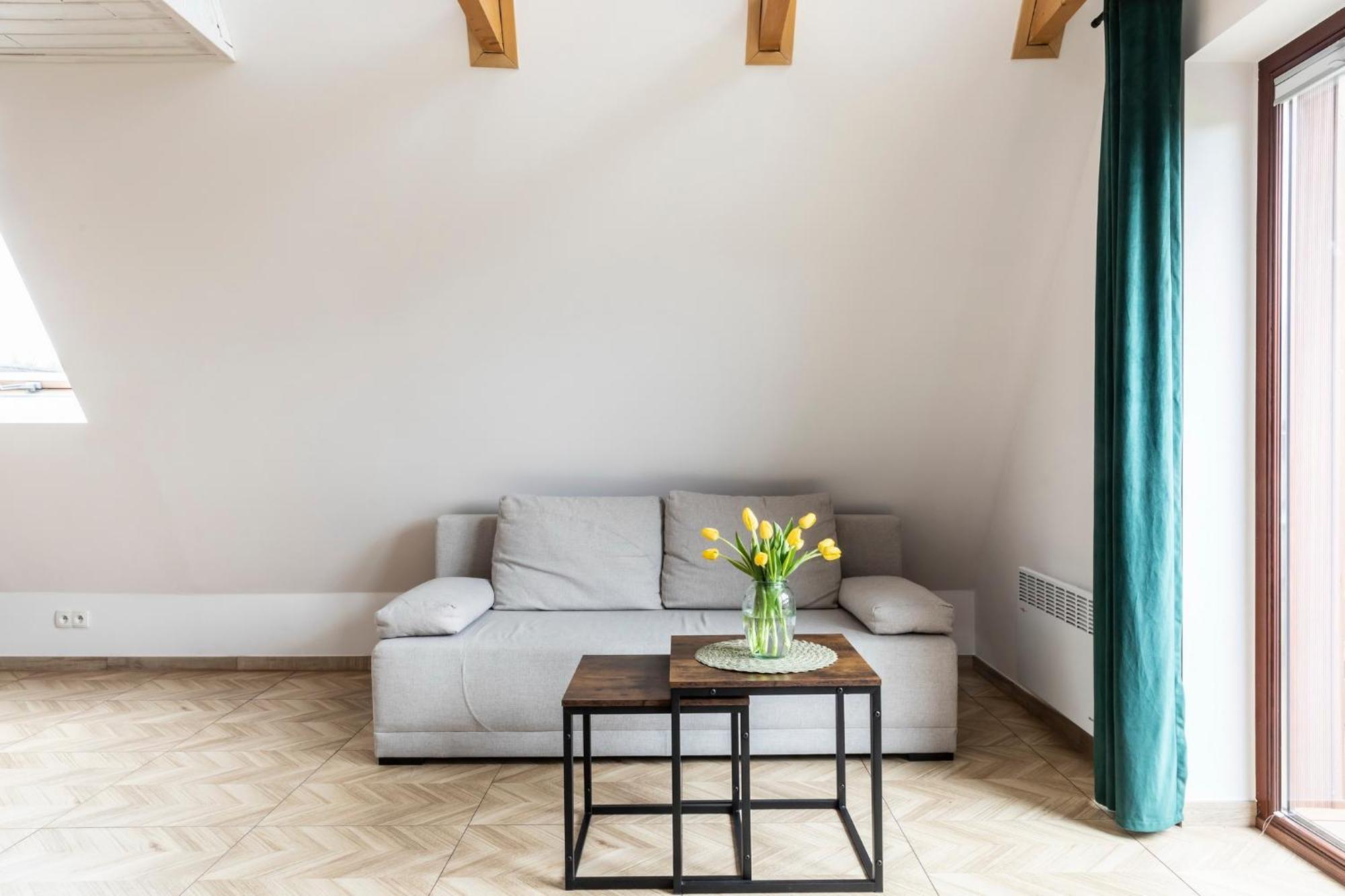 Udanypobyt Apartamenty Przy Dolinach C I D Kościelisko Extérieur photo